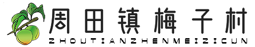 梅子村官方网站